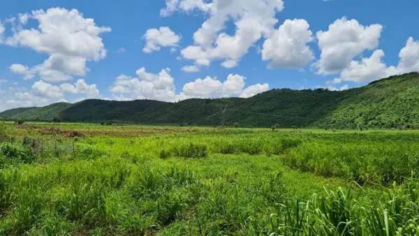 Terreno en venta en Ticum, Tekax — foto 1 de 15