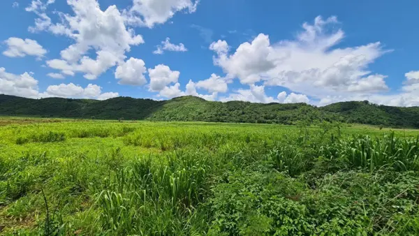 Terreno en venta en Ticum, Tekax — foto 2 de 15