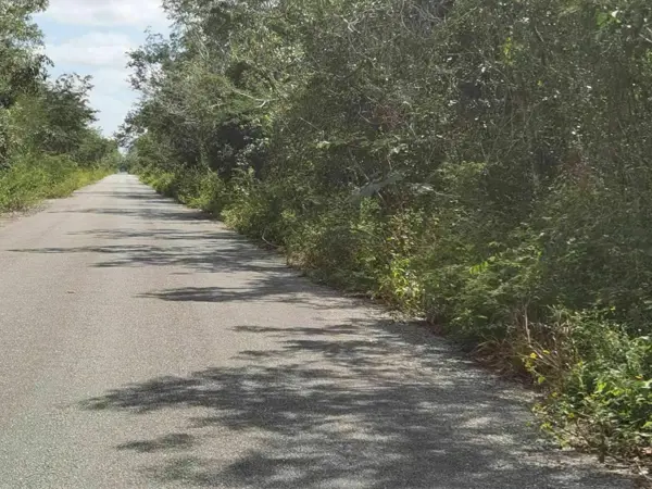 Terreno de 63 Hectáreas en Chemax, Yucatán para uso ganadero o agrícola — foto 1 de 7