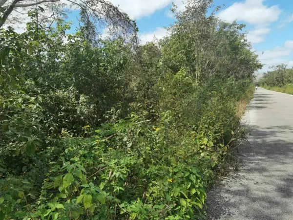 Terreno en venta en Chemax, Chemax — foto 2 de 7