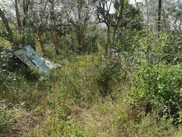Terreno en venta en Chemax, Chemax — foto 3 de 7