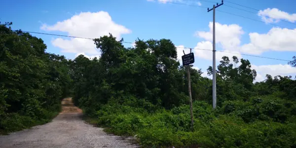 Terreno en venta de 100 has en Chemax, Yuc., ideal para ganadería y/o agrícola — foto 1 de 8