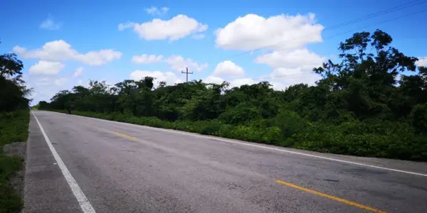 Terreno en venta en Chemax, Chemax — foto 2 de 8
