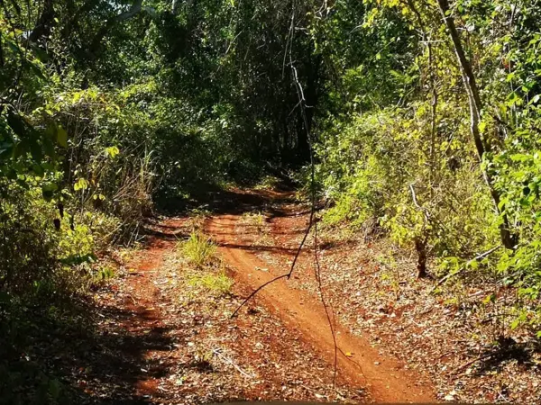 Terreno en venta en Ticul Centro, Ticul — foto 1 de 18
