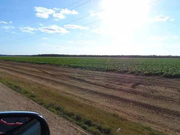 Terreno en Venta de 1,193 Has Tekax, Yucatan Cerca del Valle del Sur — foto 1 de 8