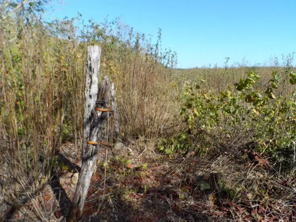 Terreno en venta en Becanchen, Tekax — foto 2 de 8