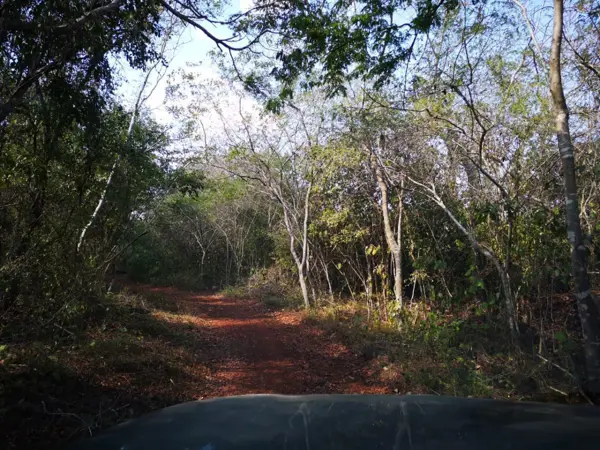 Terreno en venta en Santa Elena, Santa Elena — foto 3 de 7