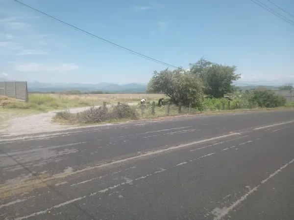Terreno en venta en Tequesquitengo, Jojutla — foto 2 de 4