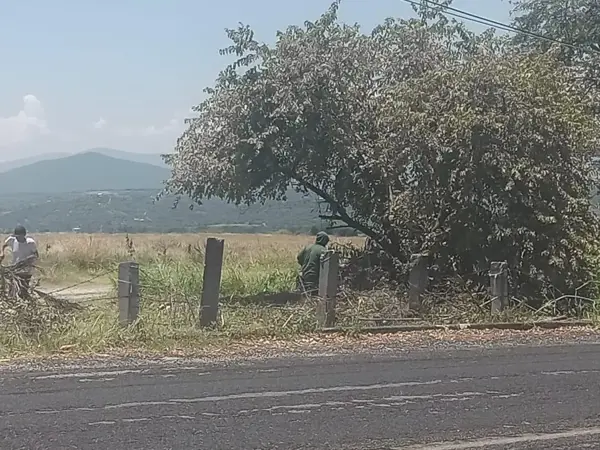 Terreno en venta en Tequesquitengo, Jojutla — foto 3 de 4