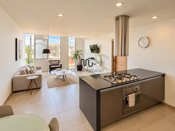 Departamento en Renta Carso Pissarro Nuevo Polanco en Ampliación Granada — foto 1 de 23