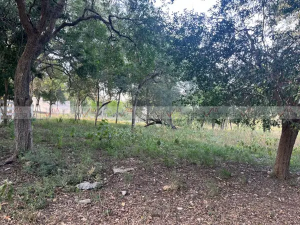 Terreno en venta en El Pastor, Montemorelos — foto 3 de 13