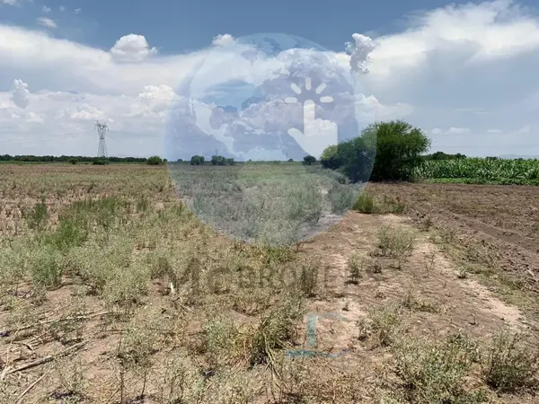 Hectareas en Venta Andalucia, Matamoros Coah. — foto 1 de 5