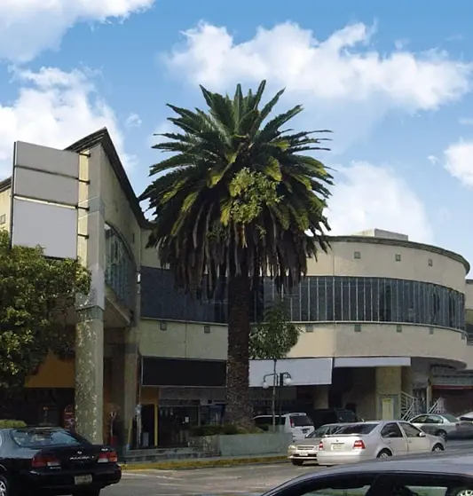Local Comercial en Renta, Lomas de San Isidro, Naucalpan de Juárez — foto 1 de 3