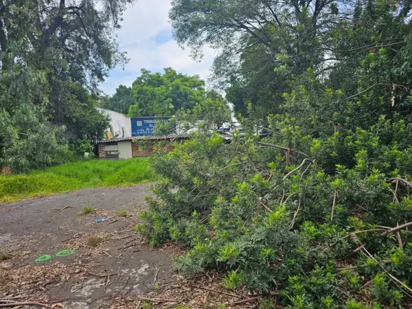 Terreno en venta en San Francisco Culhuacán Barrio de Santa Ana, Coyoacán — foto 3 de 13