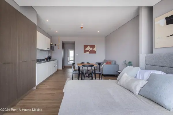 Departamento en Venta en Avenida Insurguentes, Tabacalera RU 25-964. — foto 1 de 34