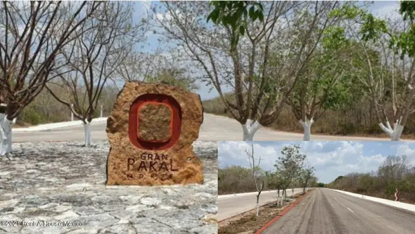 Terreno en Venta en Sierra Papacal ,Mérida JL 25-65. — foto 1 de 13