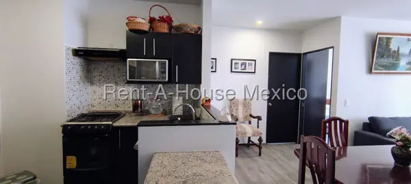 Departamento en Venta en Calle San Francisco Xocotitla, Ampliacion del Gas RU 26-323. — foto 1 de 13
