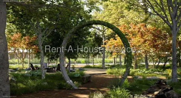 Terreno en venta en Pueblo Celestun, Celestún — foto 3 de 12