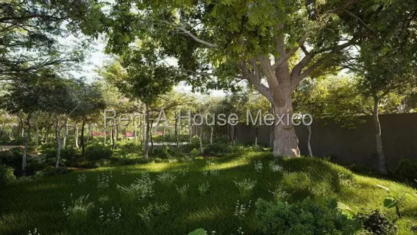Terreno en Venta en Pueblo de Celestun, Celestun JL 25-2656. — foto 1 de 12
