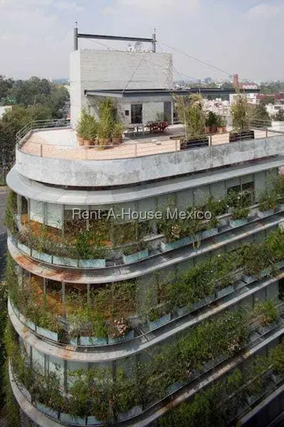 Edificio en venta en Irrigacion, Miguel Hidalgo — foto 3 de 12