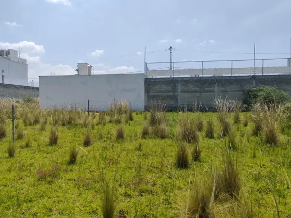 Terreno en venta en Metztli, Mexicaltzingo — foto 2 de 10