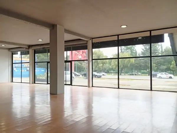 Local en Renta sobre Av. Pino Suárez, Metepec, México — foto 1 de 12