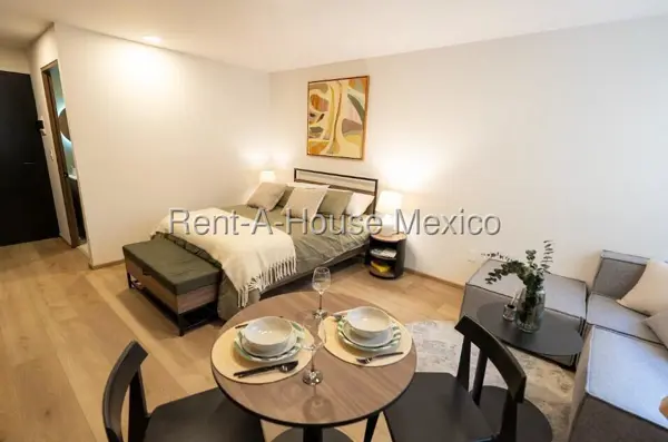Departamento Amueblado en Renta en San Rafael, Cuauhtémoc JL 26-2238. — foto 1 de 20
