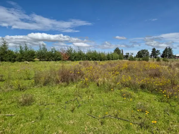 Terreno en venta en Rancho San Nicolás, Zinacantepec — foto 2 de 12