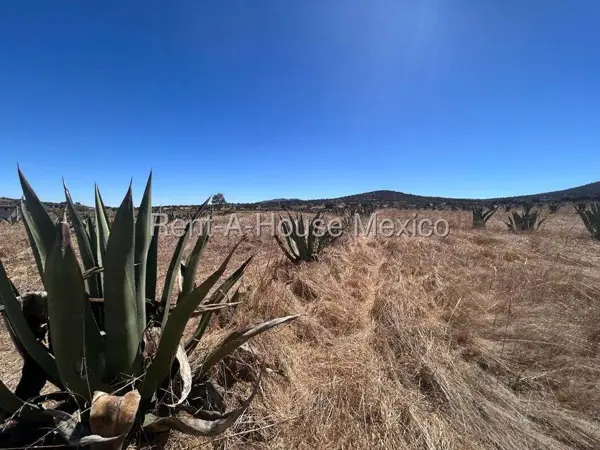 Terreno en Venta en Santa Matilde 26-2535. — foto 1 de 17