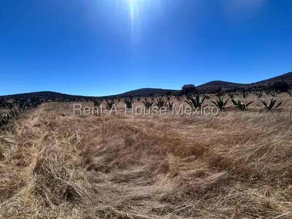 Terreno en venta en Poblado comunal Santa Gertrudis, Zempoala — foto 3 de 17