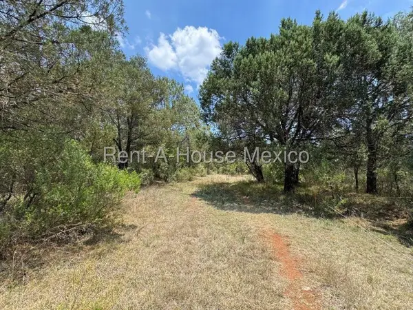 Terreno en Venta en Huasca de Ocampo Centro 26-2960. — foto 1 de 12