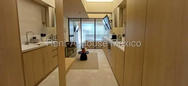 Departamento Tipo Loft Amueblado en Renta en Polanco 26-1612. — foto 1 de 12