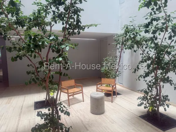 Venta departamento amueblado en Roma Norte — foto 1 de 25