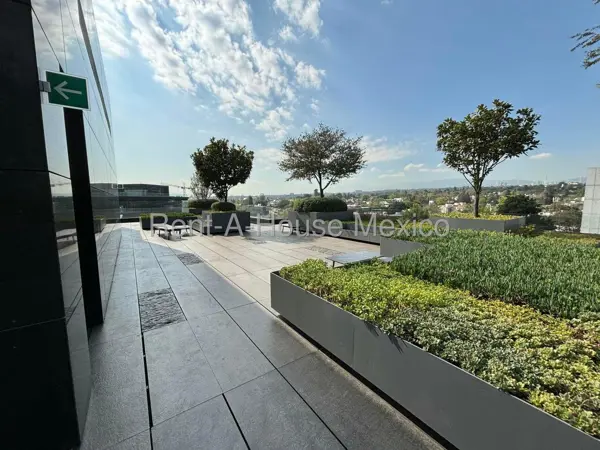 Oficina en renta en Lomas de Chapultepec, Miguel Hidalgo — foto 3 de 23