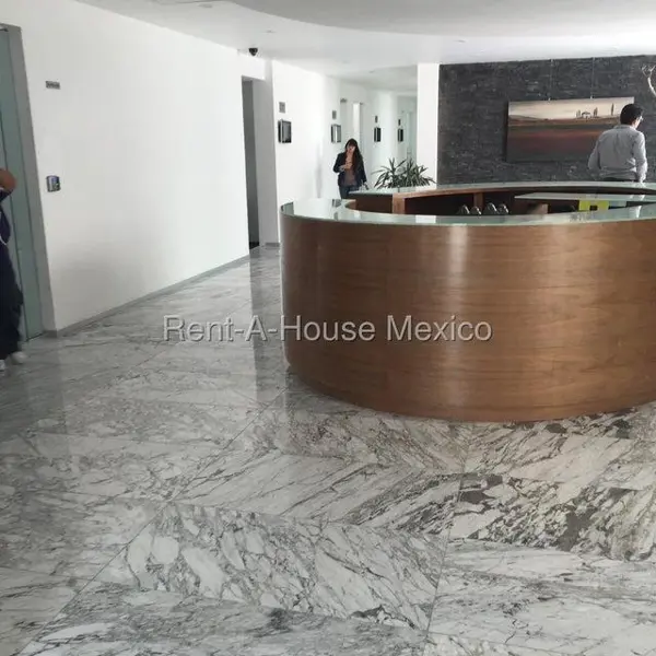 Oficina Amueblado en Renta en Miguel Hidalgo, Anahuac RT 25-3244. — foto 1 de 13