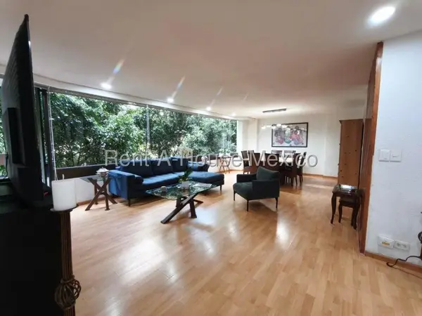 Departamento Amueblado en Renta en Calle Enrique Ibsen, Miguel Hidalgo CR 27-1223. — foto 1 de 22