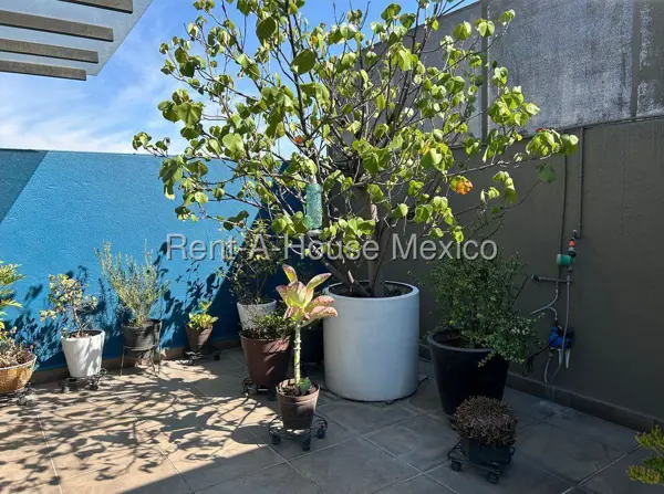 Departamento en venta en Del Valle, Benito Juárez — foto 2 de 14