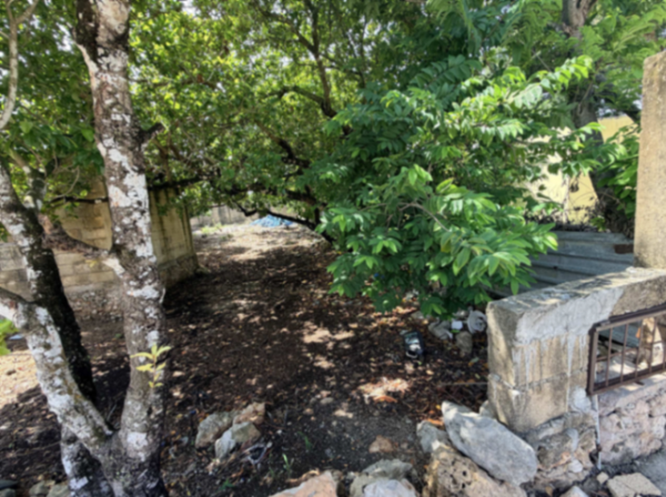 Amplio terreno con pie de casa en zona urbana — foto 1 de 5