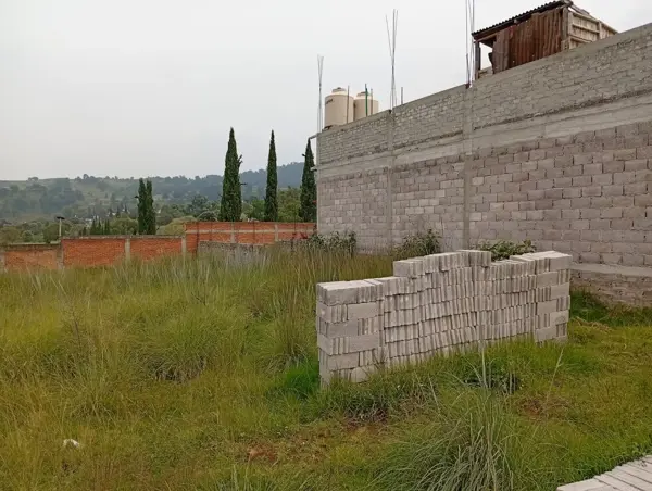 Terreno en venta en Ocotitla, Milpa Alta — foto 2 de 10