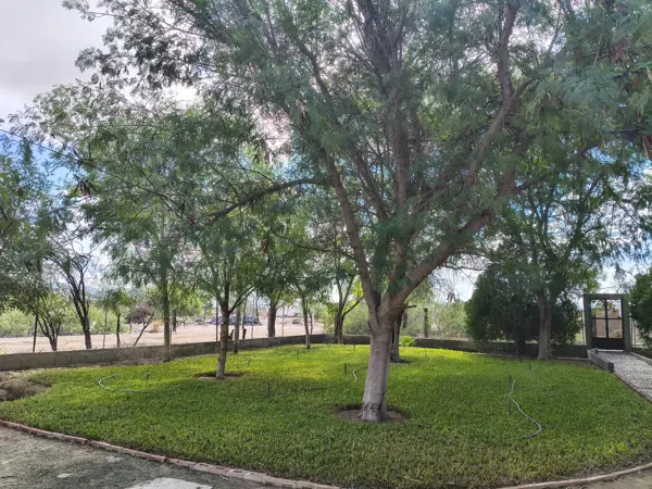 Casa en venta en Paredón, Ramos Arizpe — foto 3 de 19