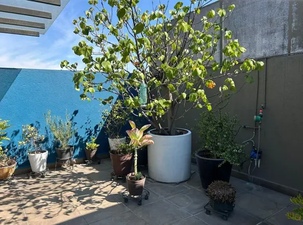 Departamento en venta en Del Valle Centro, Benito Juárez — foto 3 de 14