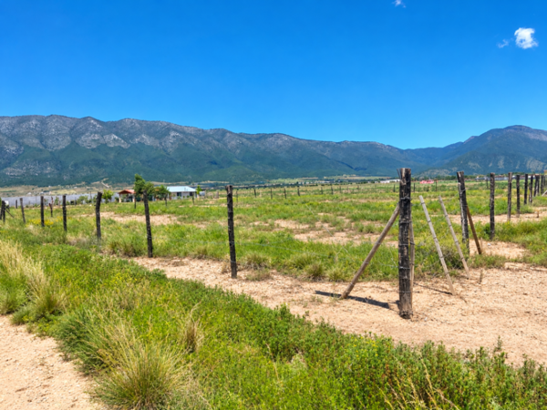 Terreno campestre en venta en Valle de Santa Lucía — foto 1 de 2