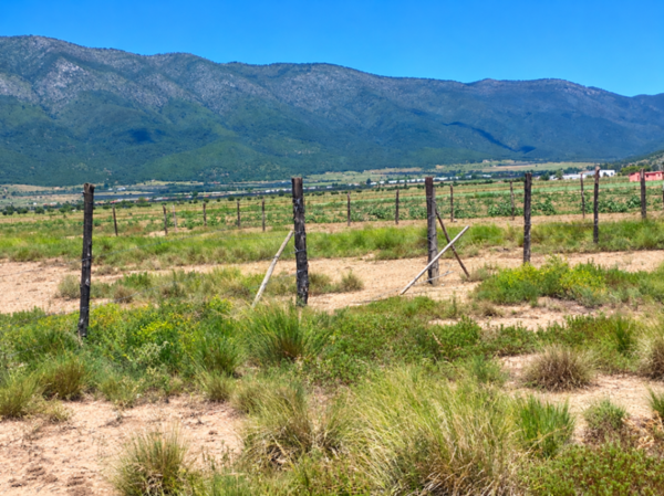 Terreno en venta en San Antonio de las Alazanas, Arteaga — foto 2 de 2