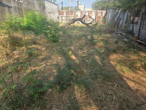 Terreno en Vente en el Centro de Monterrey — foto 1 de 14