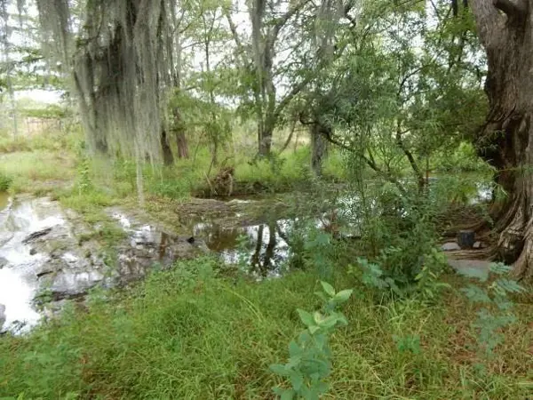 Terreno en Venta Montemorelos N L — foto 1 de 23