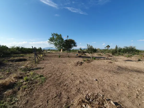 Terreno Venta los Villarreales Salinas Victoria — foto 1 de 11
