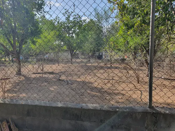 Terreno en venta en Sin colonia, Juárez — foto 2 de 19