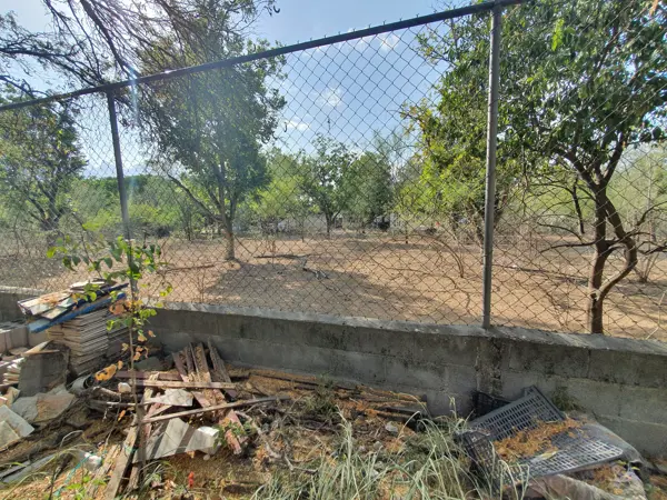 Terreno en venta en Sin colonia, Juárez — foto 3 de 19