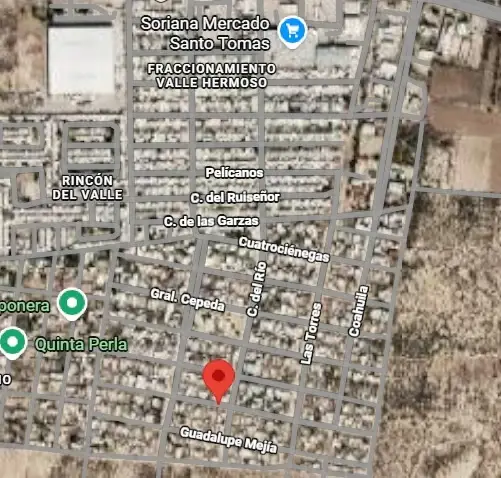 Terreno en venta en Enrique Martínez y Martínez, Matamoros — foto 2 de 3