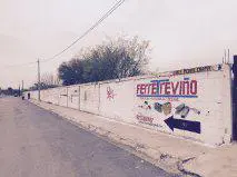 Terreno en Renta en el Centro de Cienega de Flores — foto 1 de 3
